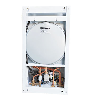 Gas- of LPG-combi-ketel met dubbele functie