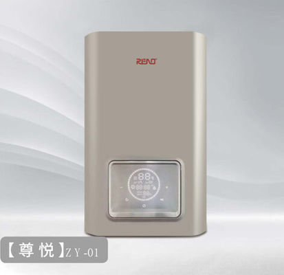 Gaswandboiler 20kw NG- of LPG-combinatieboiler